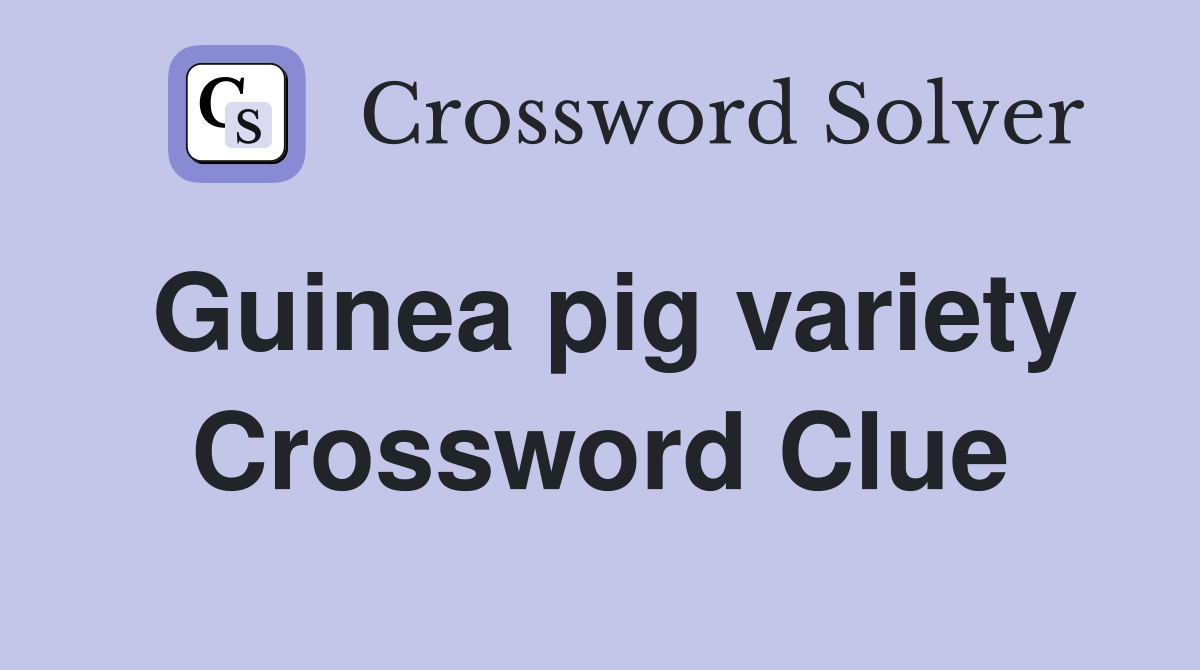 Guinea pig variety Crossword Clue Answers Crossword Solver